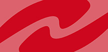 BIUF Webdesign